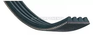 Ремень 1215H8 EL Hutchinson стиральной машины Ardo 651009071